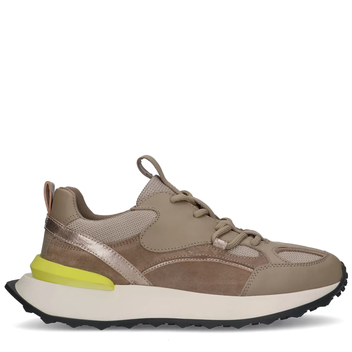 Baskets En Cuir Avec Detail Colore - Taupe<Sacha Cheap